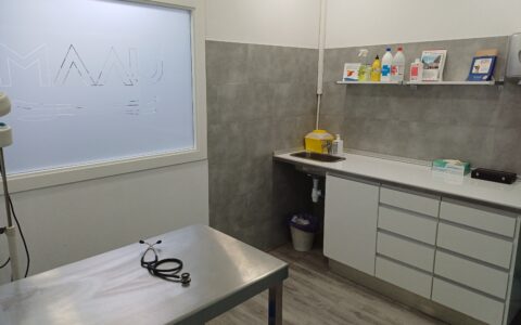 Consulta 2