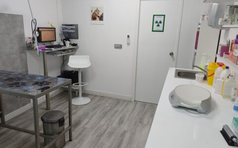 Consulta 1b