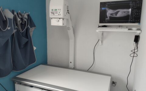 Radiologia
